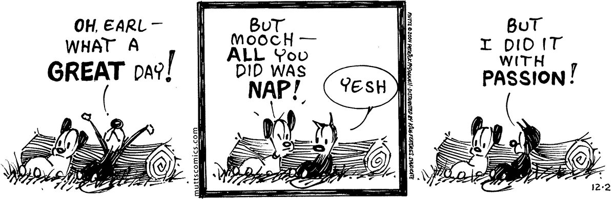 December 2 2004, Daily Comic Strip