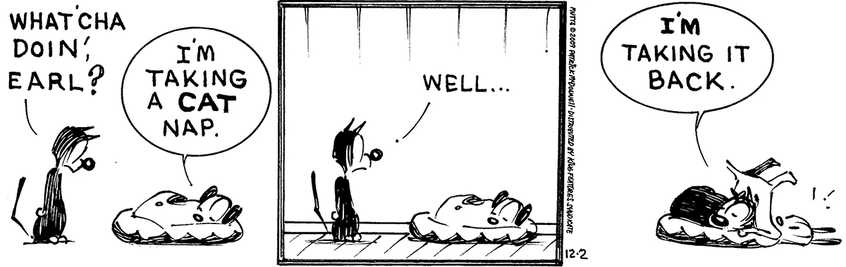 December 2 2009, Daily Comic Strip