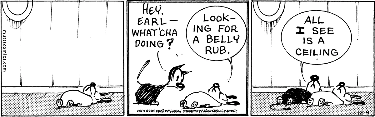 December 3 2005, Daily Comic Strip
