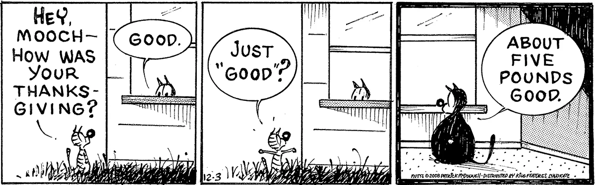 December 3 2008, Daily Comic Strip