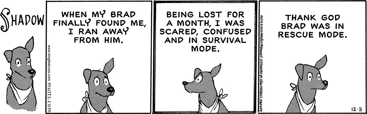December 3 2020, Daily Comic Strip