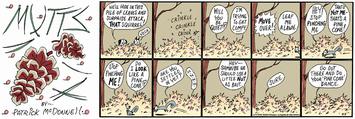 December 3 1995, Sunday Comic Strip