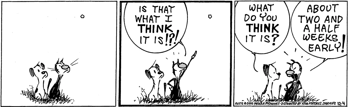 December 4 2000, Daily Comic Strip