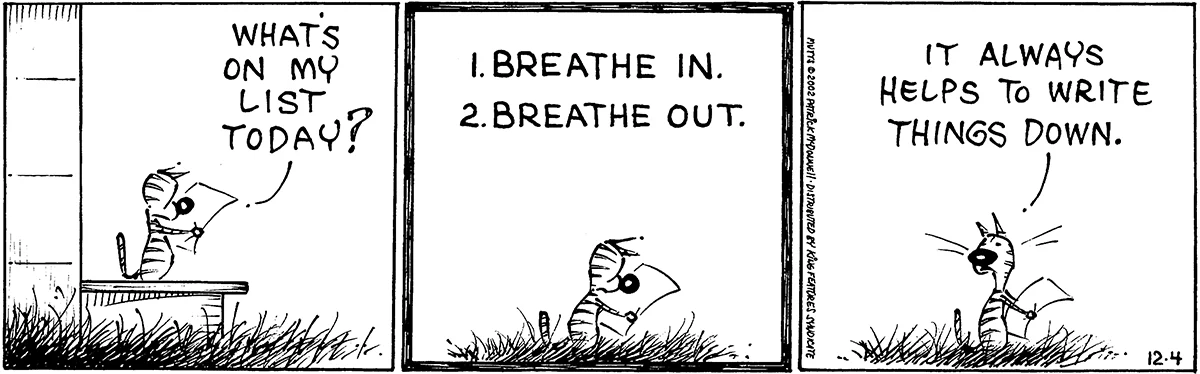 December 4 2002, Daily Comic Strip