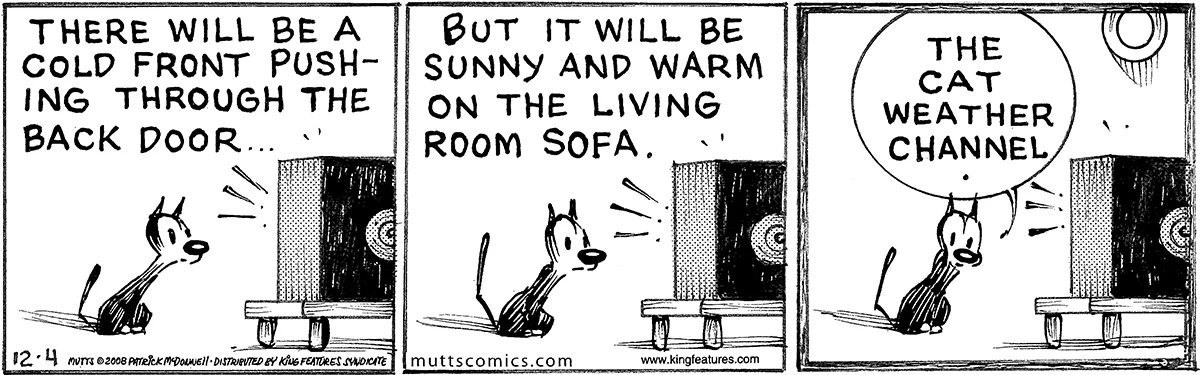 December 4 2008, Daily Comic Strip