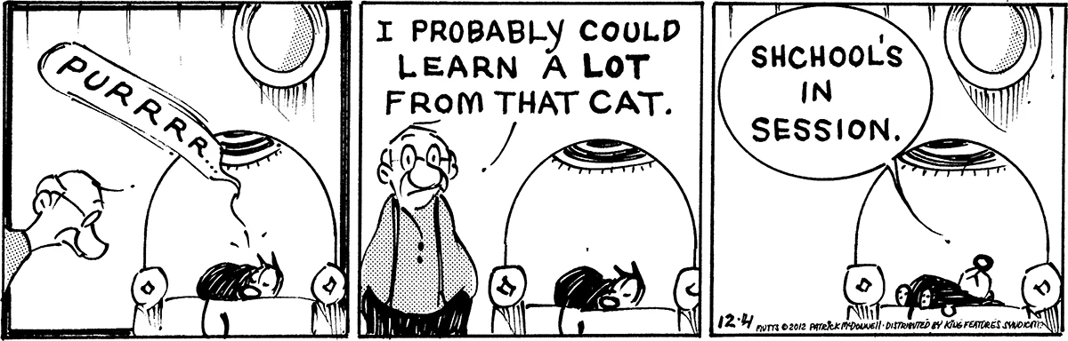 December 4 2012, Daily Comic Strip