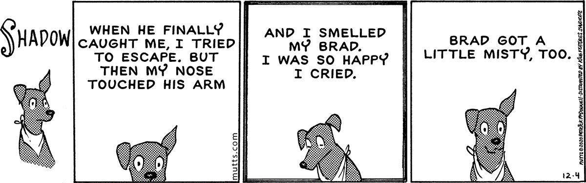 December 4 2020, Daily Comic Strip
