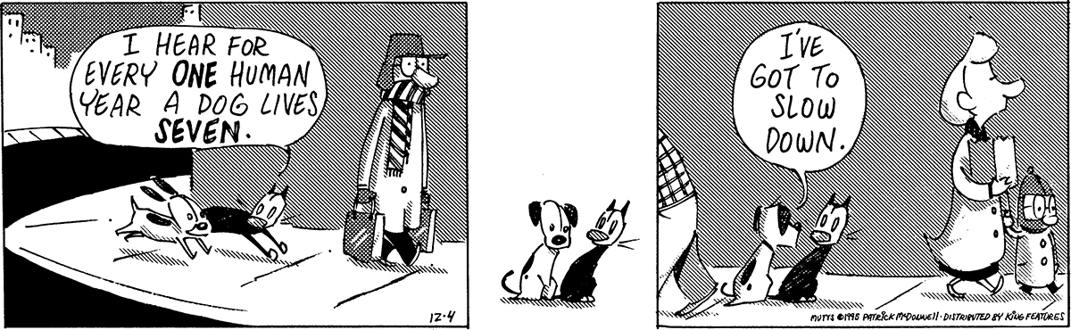 December 4 1995, Daily Comic Strip
