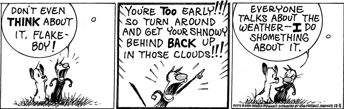 December 5 2000, Daily Comic Strip