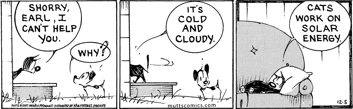 December 5 2007, Daily Comic Strip