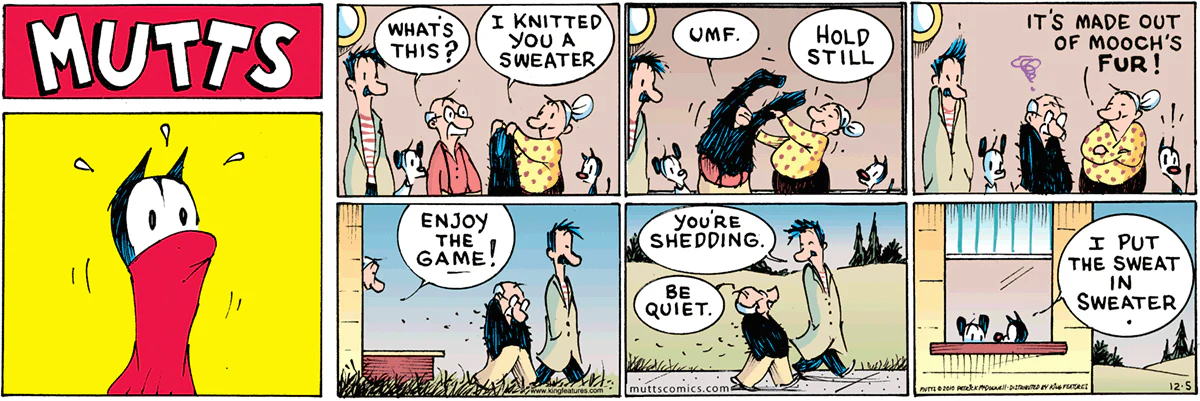 December 5 2010, Sunday Comic Strip