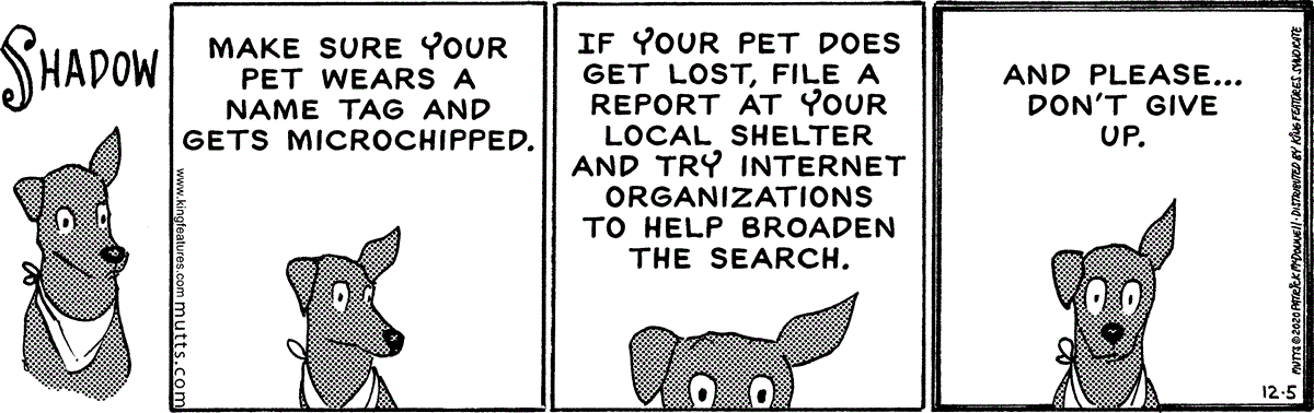 December 5 2020, Daily Comic Strip