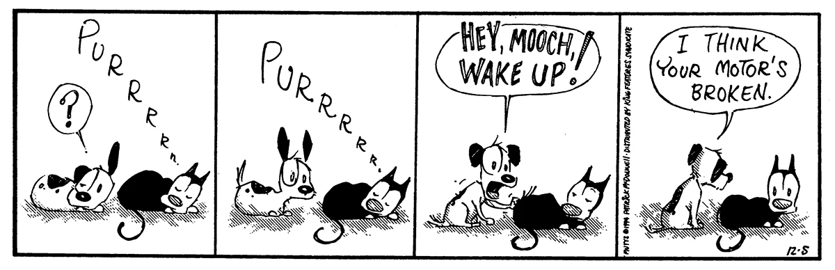December 5 1994, Daily Comic Strip