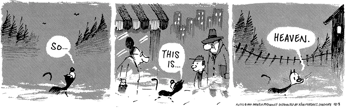December 5 1997, Daily Comic Strip