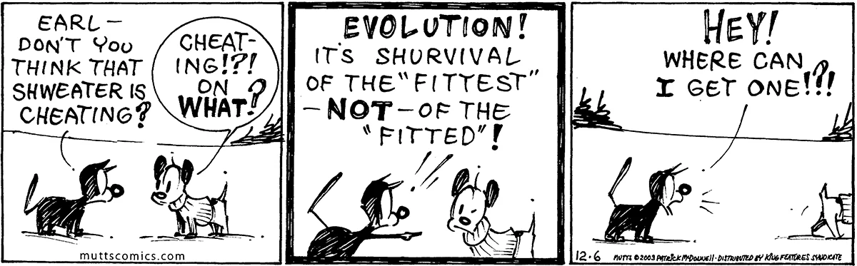 December 6 2003, Daily Comic Strip