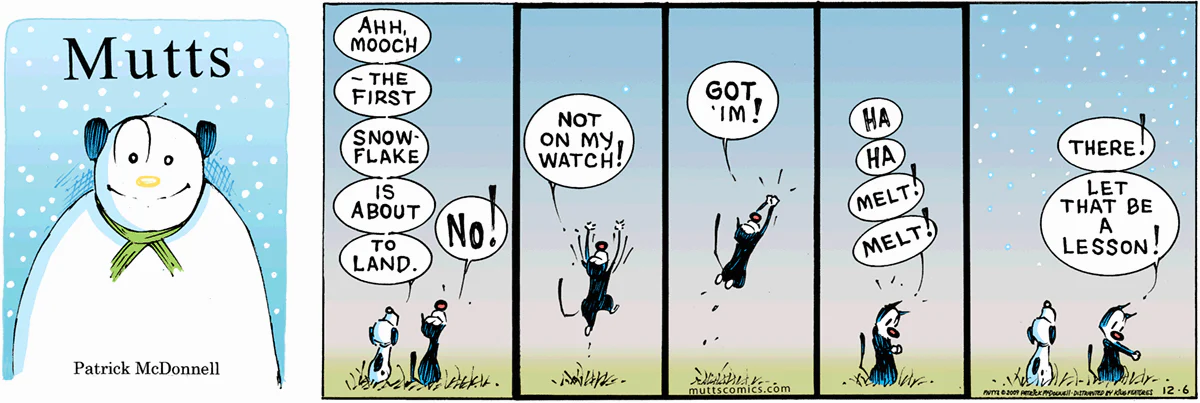 December 6 2009, Sunday Comic Strip