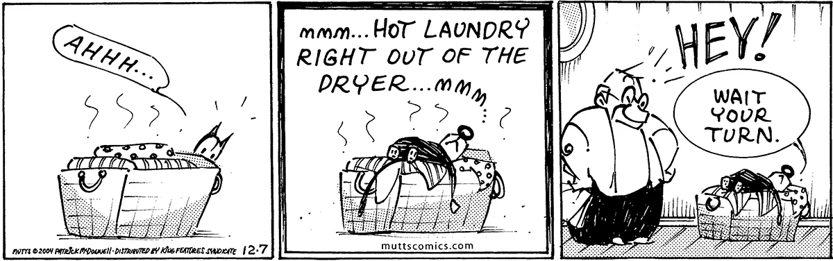 December 7 2004, Daily Comic Strip
