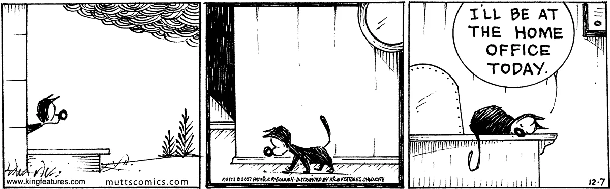 December 7 2007, Daily Comic Strip
