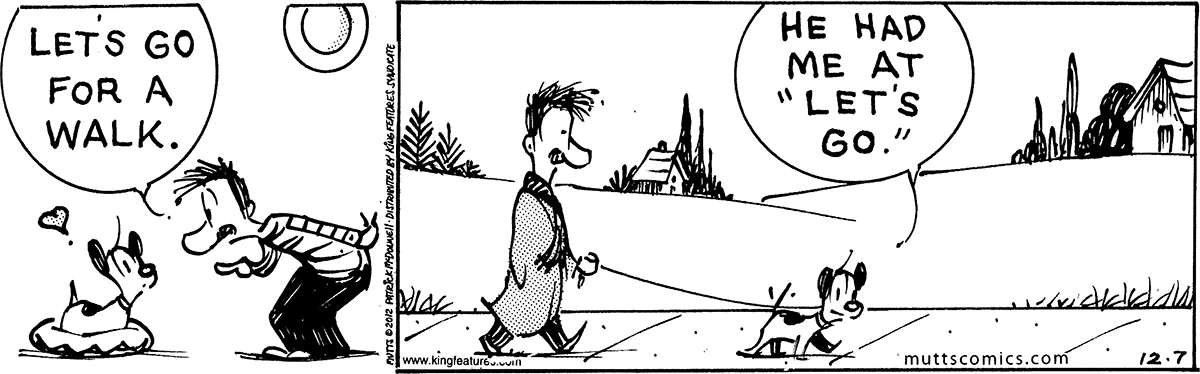 December 7 2012, Daily Comic Strip
