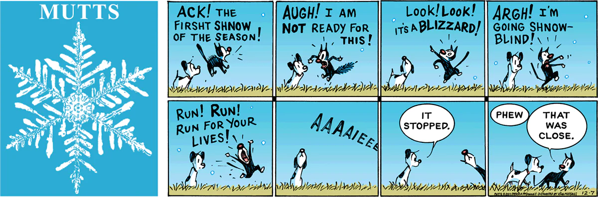 December 7 2014, Sunday Comic Strip