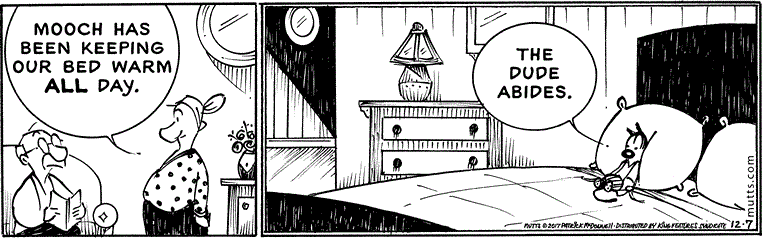 December 7 2017, Daily Comic Strip