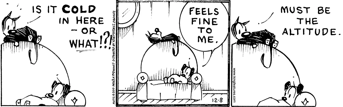 December 8 2010, Daily Comic Strip