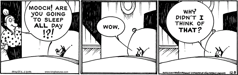 December 8 2017, Daily Comic Strip