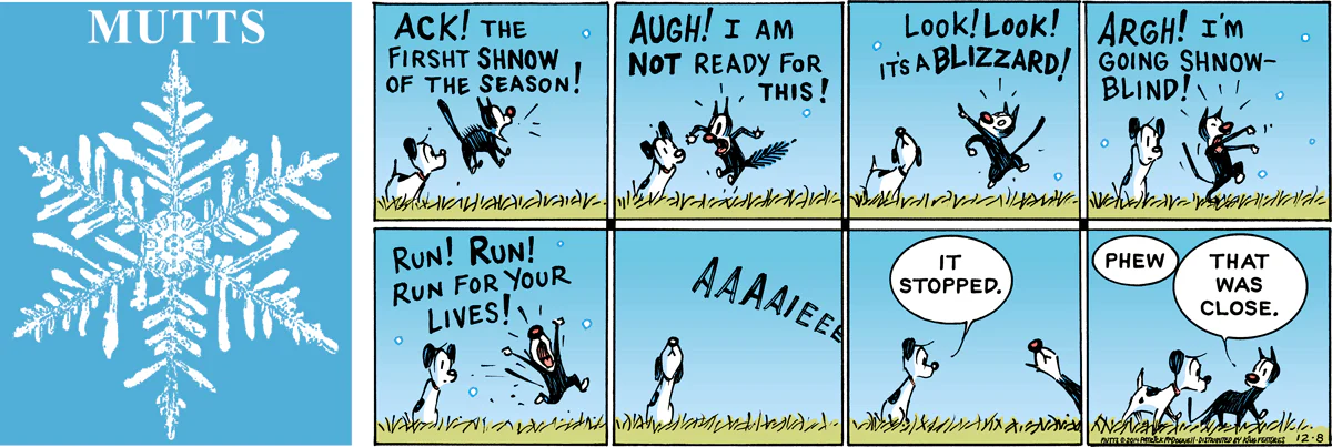 December 8 2019, Sunday Comic Strip