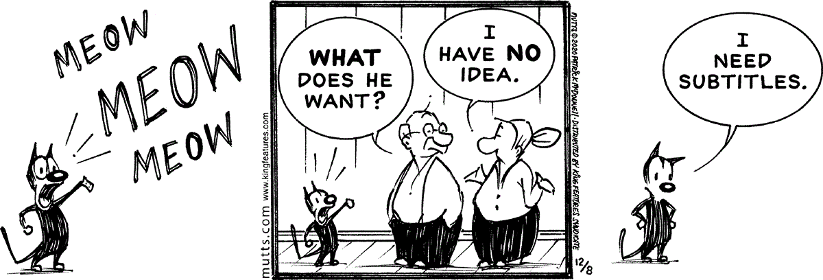 December 8 2020, Daily Comic Strip