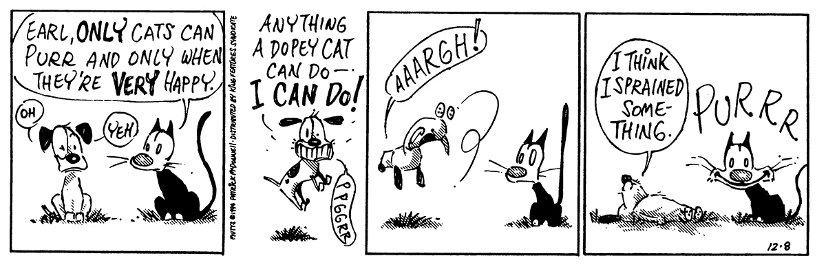 December 8 1994, Daily Comic Strip