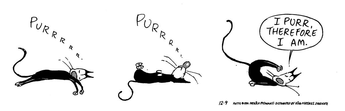 December 9 1994, Daily Comic Strip