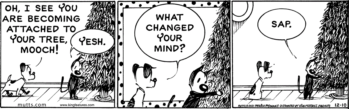 December 10 2021, Daily Comic Strip