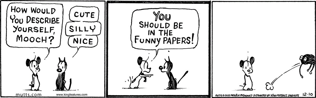 December 10 2022, Daily Comic Strip