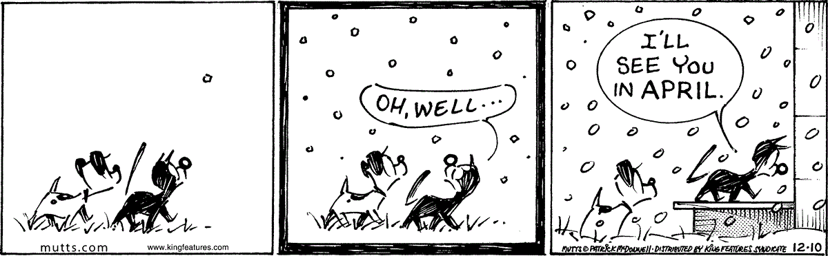 December 10 2025, Daily Comic Strip