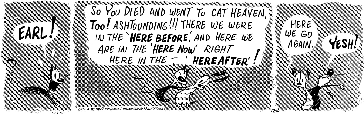 December 10 1997, Daily Comic Strip