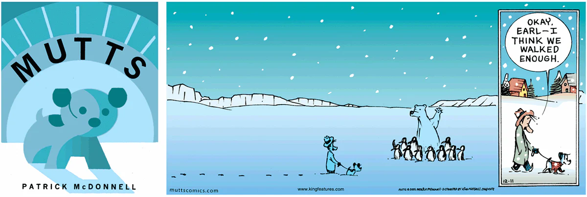 December 11 2005, Sunday Comic Strip