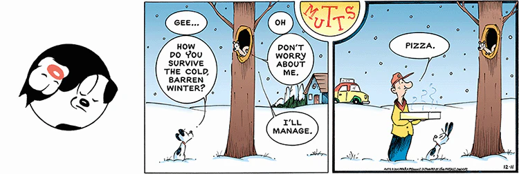 December 11 2016, Sunday Comic Strip