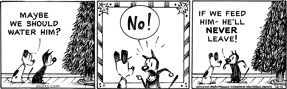 December 11 2021, Daily Comic Strip