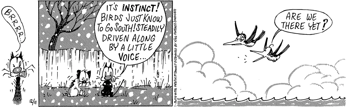 December 11 1995, Daily Comic Strip