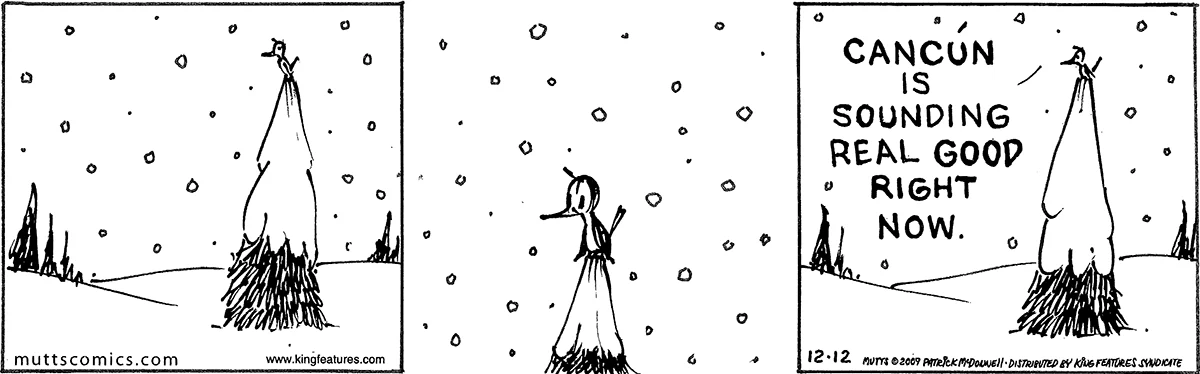 December 12 2009, Daily Comic Strip
