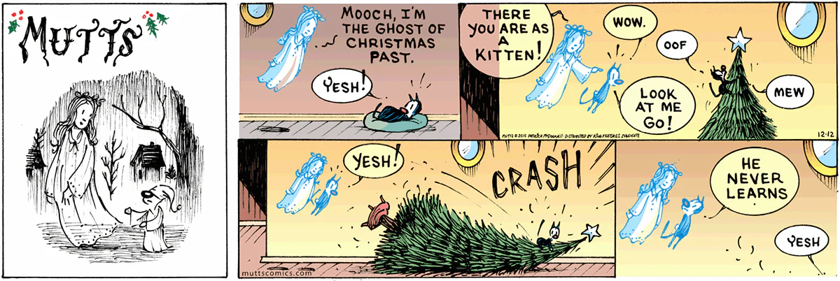 December 12 2010, Sunday Comic Strip