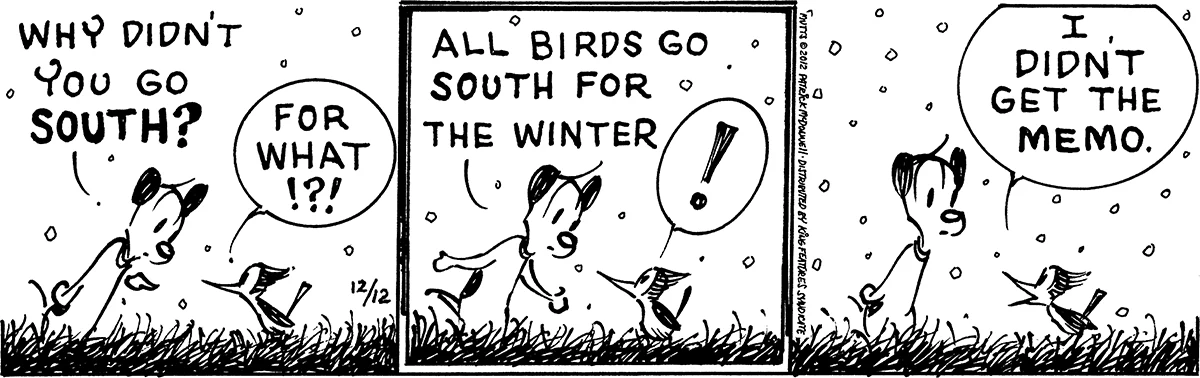 December 12 2012, Daily Comic Strip