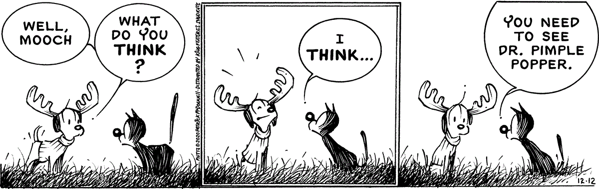 December 12 2020, Daily Comic Strip