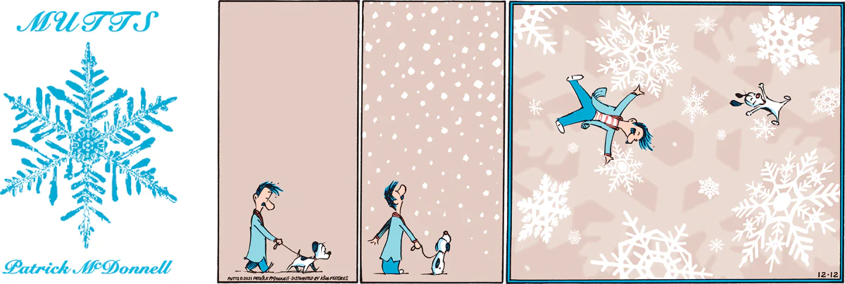 December 12 2021, Sunday Comic Strip