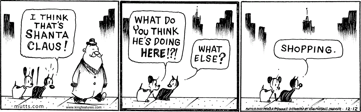 December 12 2022, Daily Comic Strip
