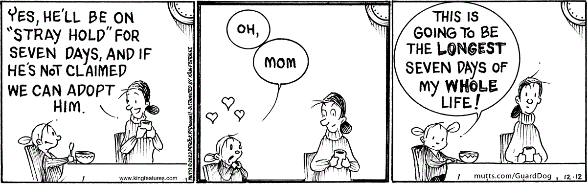 December 12 2023, Daily Comic Strip