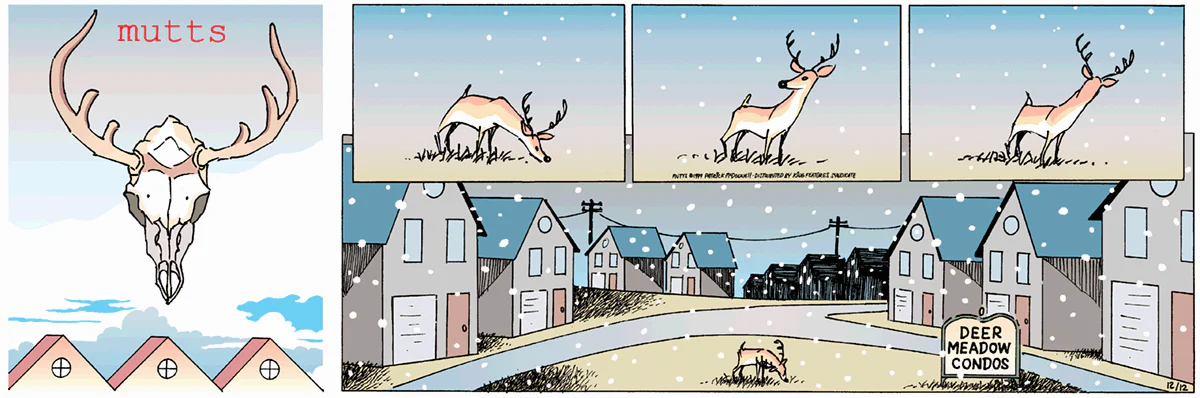 December 12 1999, Sunday Comic Strip