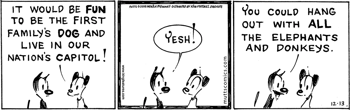 December 13 2008, Daily Comic Strip