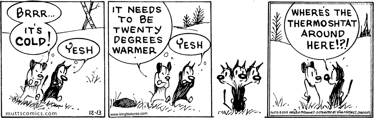 December 13 2010, Daily Comic Strip