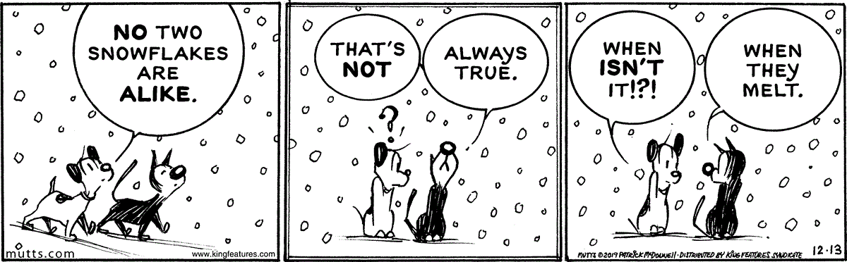 December 13 2019, Daily Comic Strip